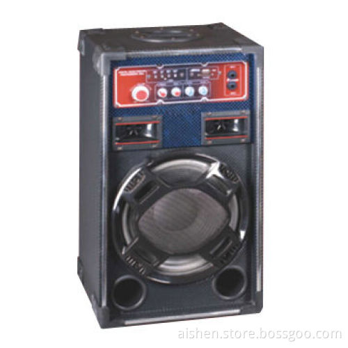 Stage Speakers with USB/SDFM